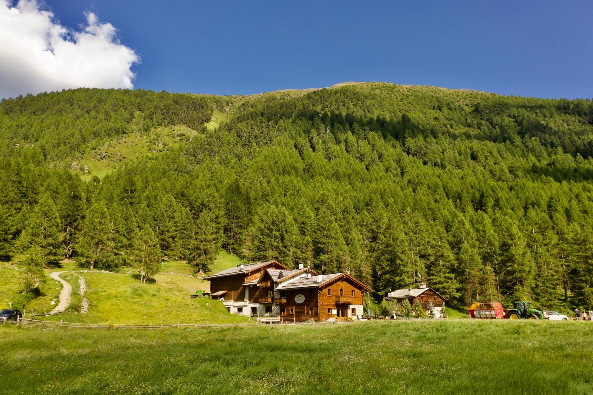 Agriturismo Bosco D'Oro Livigno Exterior foto